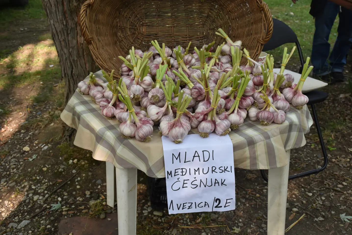 Sajam, Čakovec, 11.6.2025 (42) Sajam, Čakovec, 11.6.2025 (42)