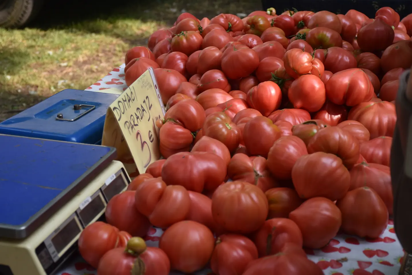 Sajam, Čakovec, 11.6.2025 (43) Sajam, Čakovec, 11.6.2025 (43)