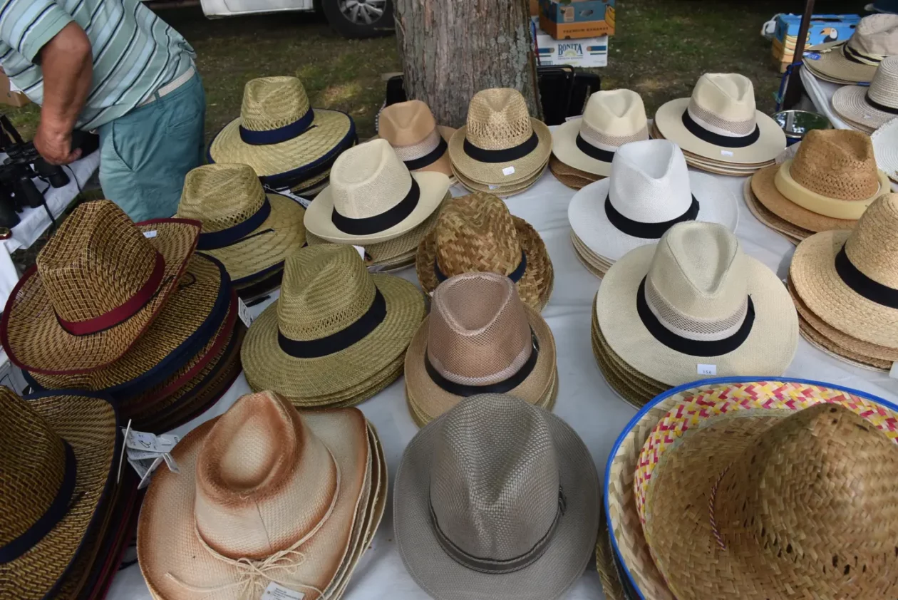 Sajam, Čakovec, 11.6.2025 (48)