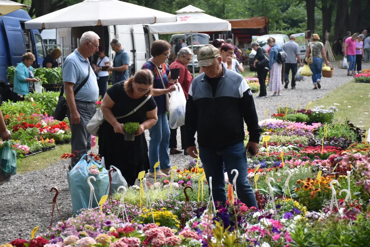 Sajam, Čakovec, 11.6.2025 (49)