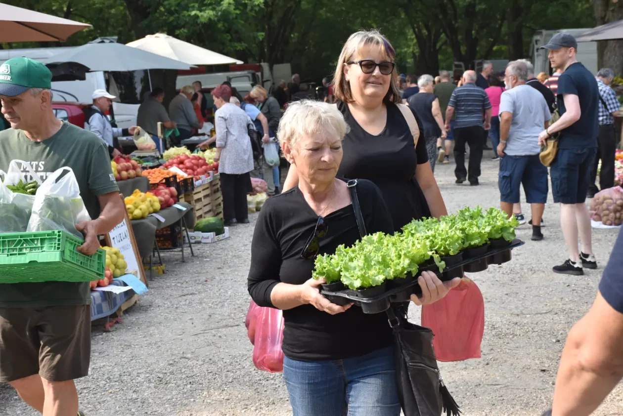 Sajam, Čakovec, 11.6.2025 (5)