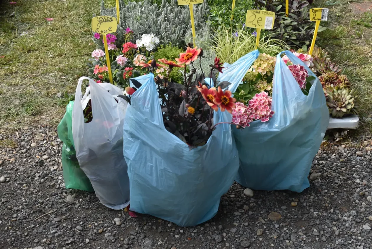 Sajam, Čakovec, 11.6.2025 (50)