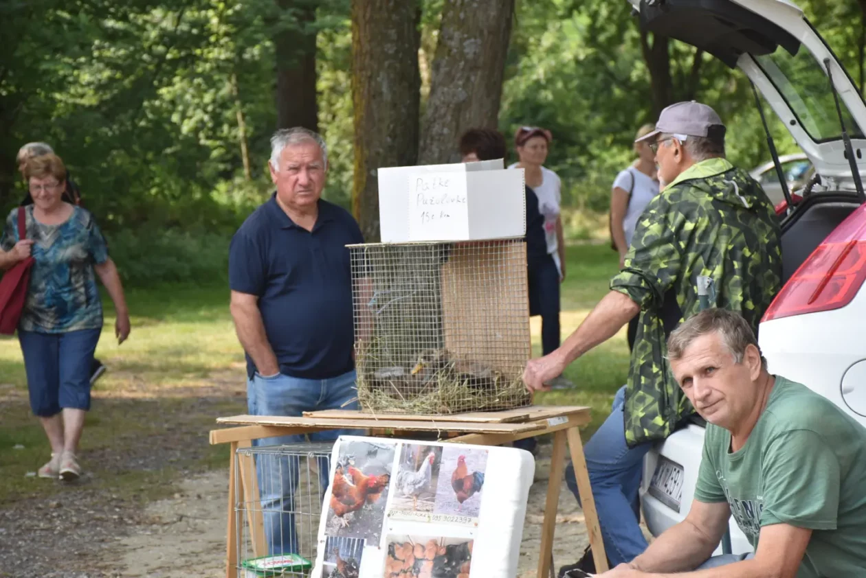 Sajam, Čakovec, 11.6.2025 (57)
