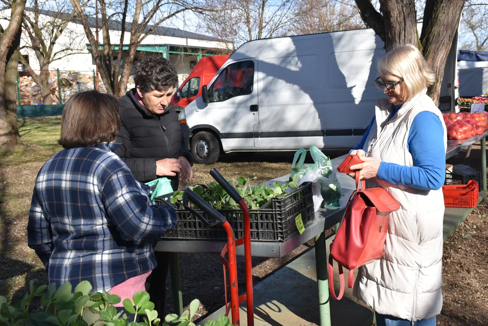 Sajam, Čakovec, 12.3.25 (15)
