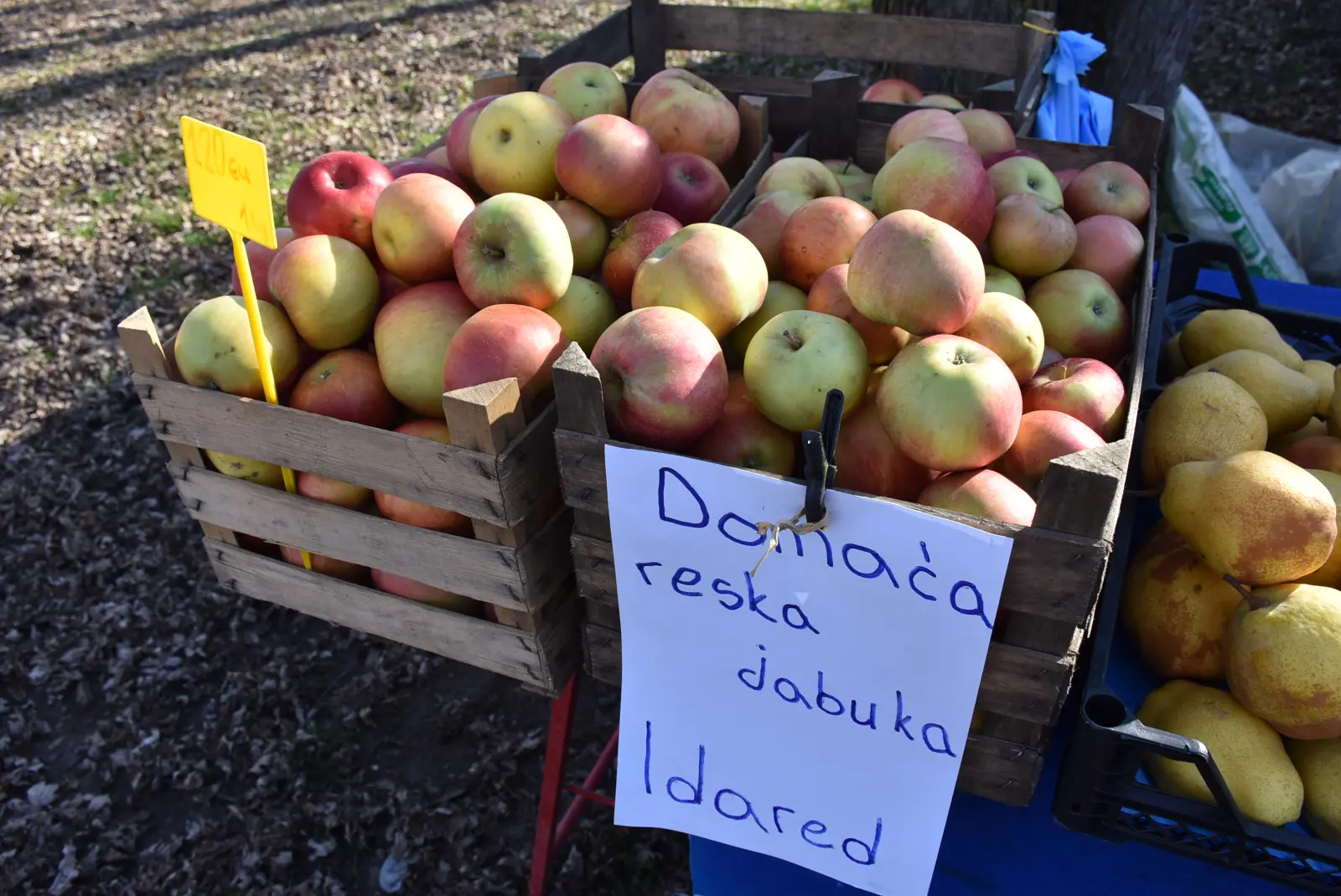 Sajam, Čakovec, 12.3.25 (20)
