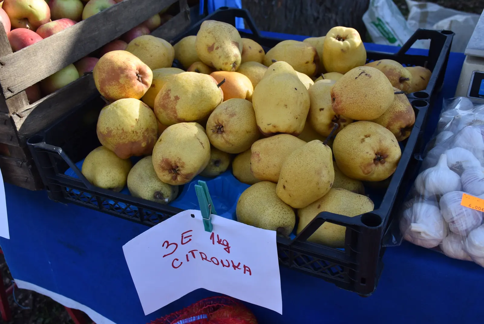 Sajam, Čakovec, 12.3.25 (21)