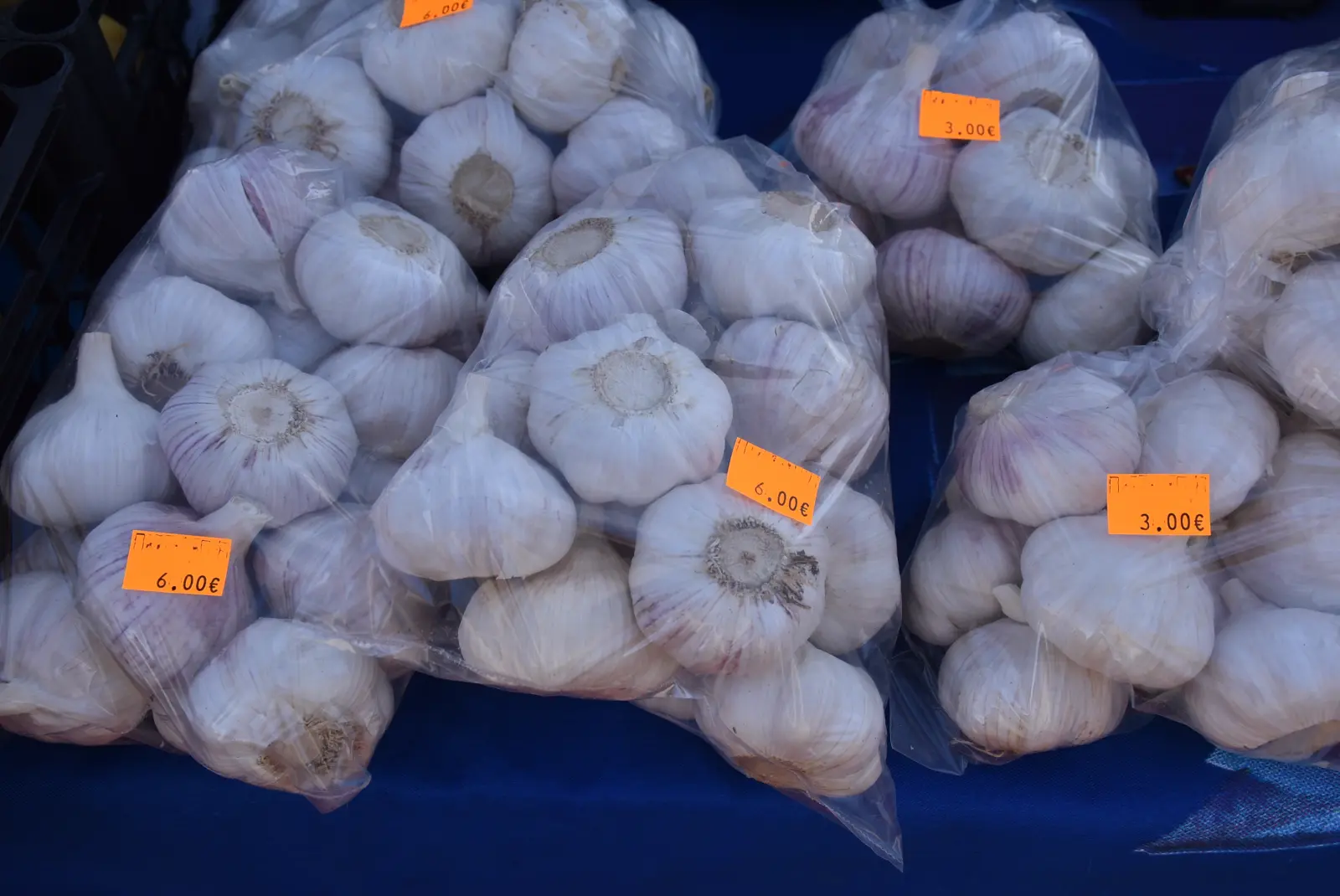 Sajam, Čakovec, 12.3.25 (22)