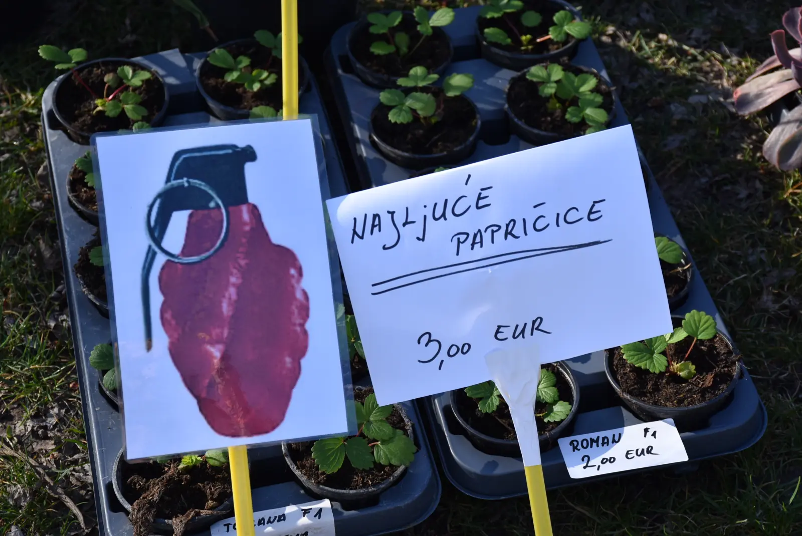 Sajam, Čakovec, 12.3.25 (28)