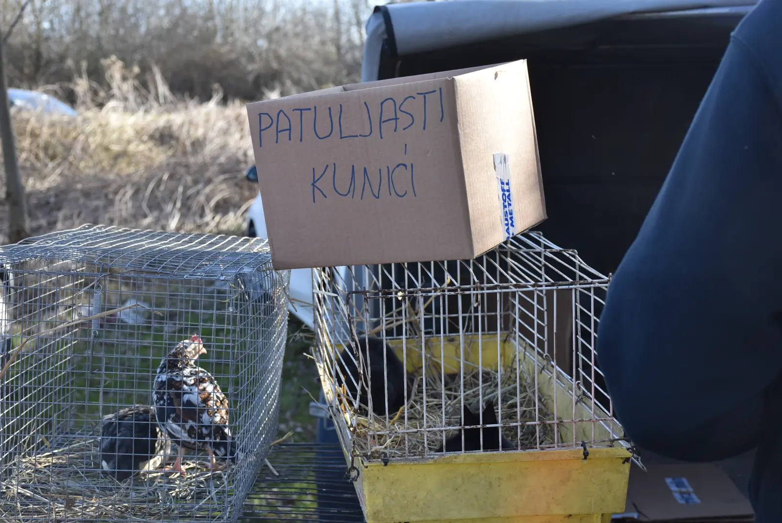 Sajam, Čakovec, 12.3.25 (33)