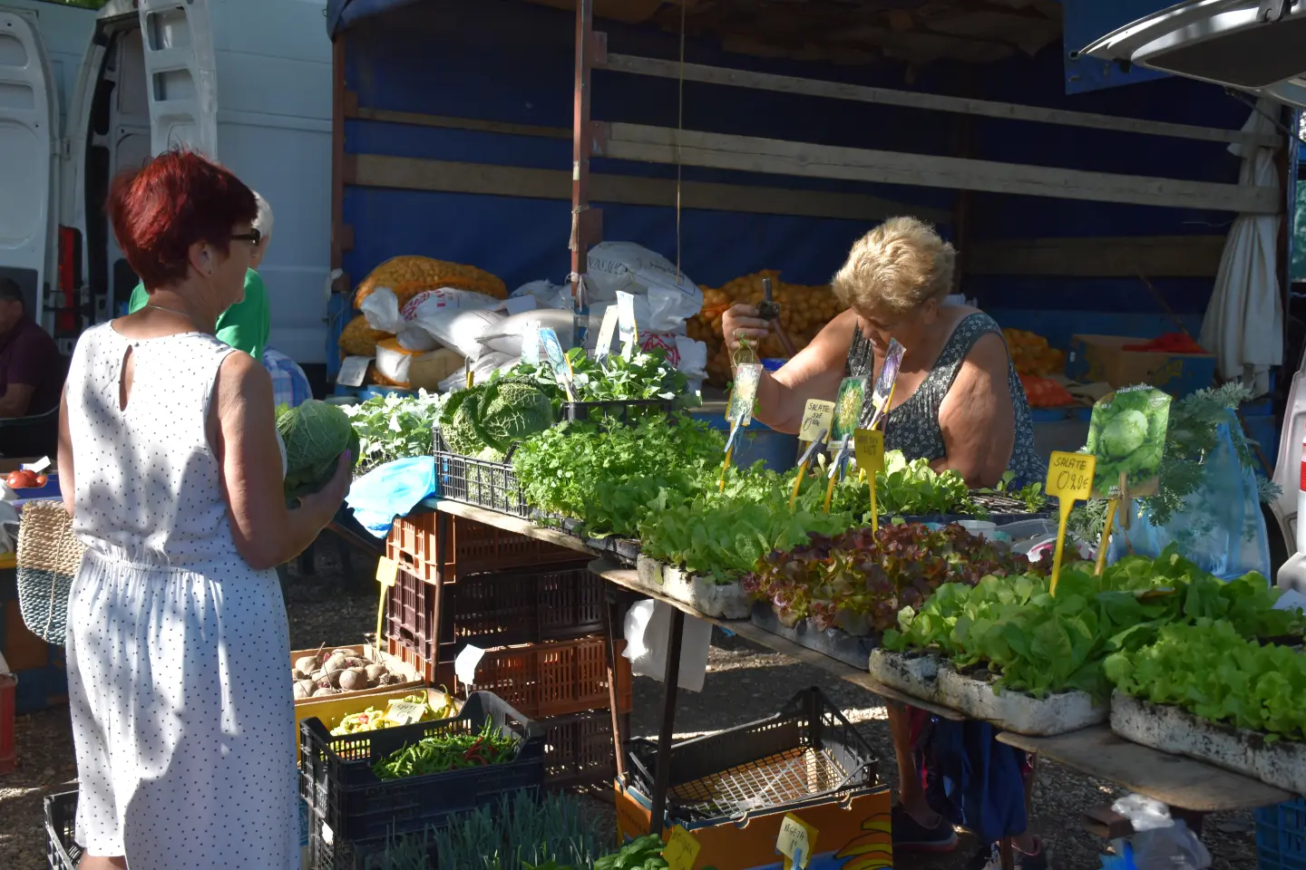 Sajam, Čakovec, 13.8.2025 (13)