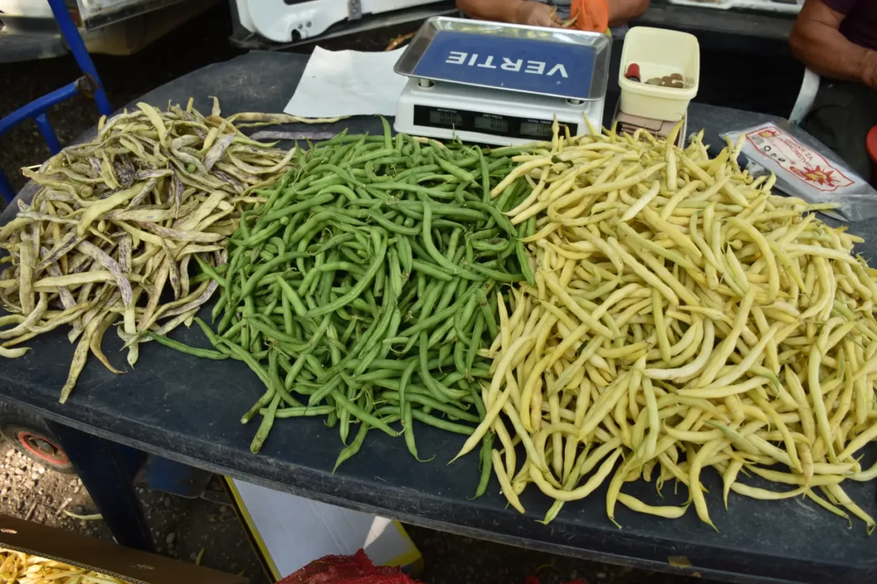 Sajam, Čakovec, 13.8.2025 (17) Sajam, Čakovec, 13.8.2025 (17)