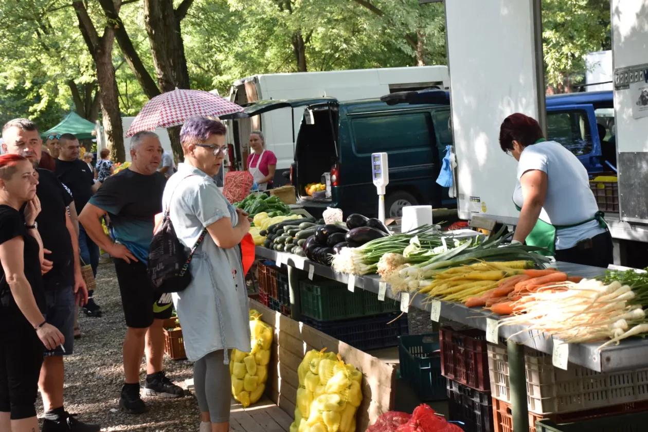 Sajam, Čakovec, 13.8.2025 (19) Sajam, Čakovec, 13.8.2025 (19)