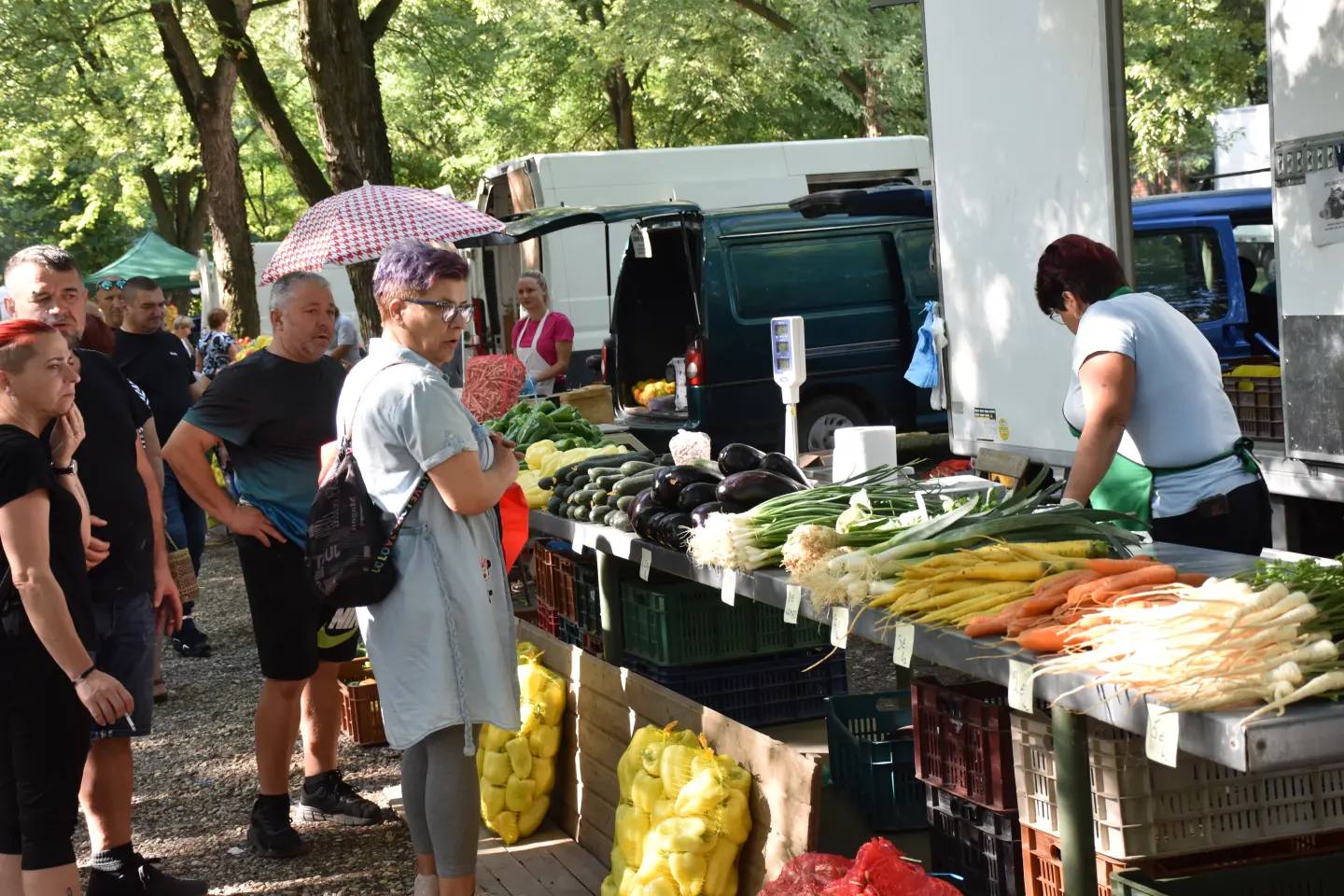 Sajam, Čakovec, 13.8.2025 (19)