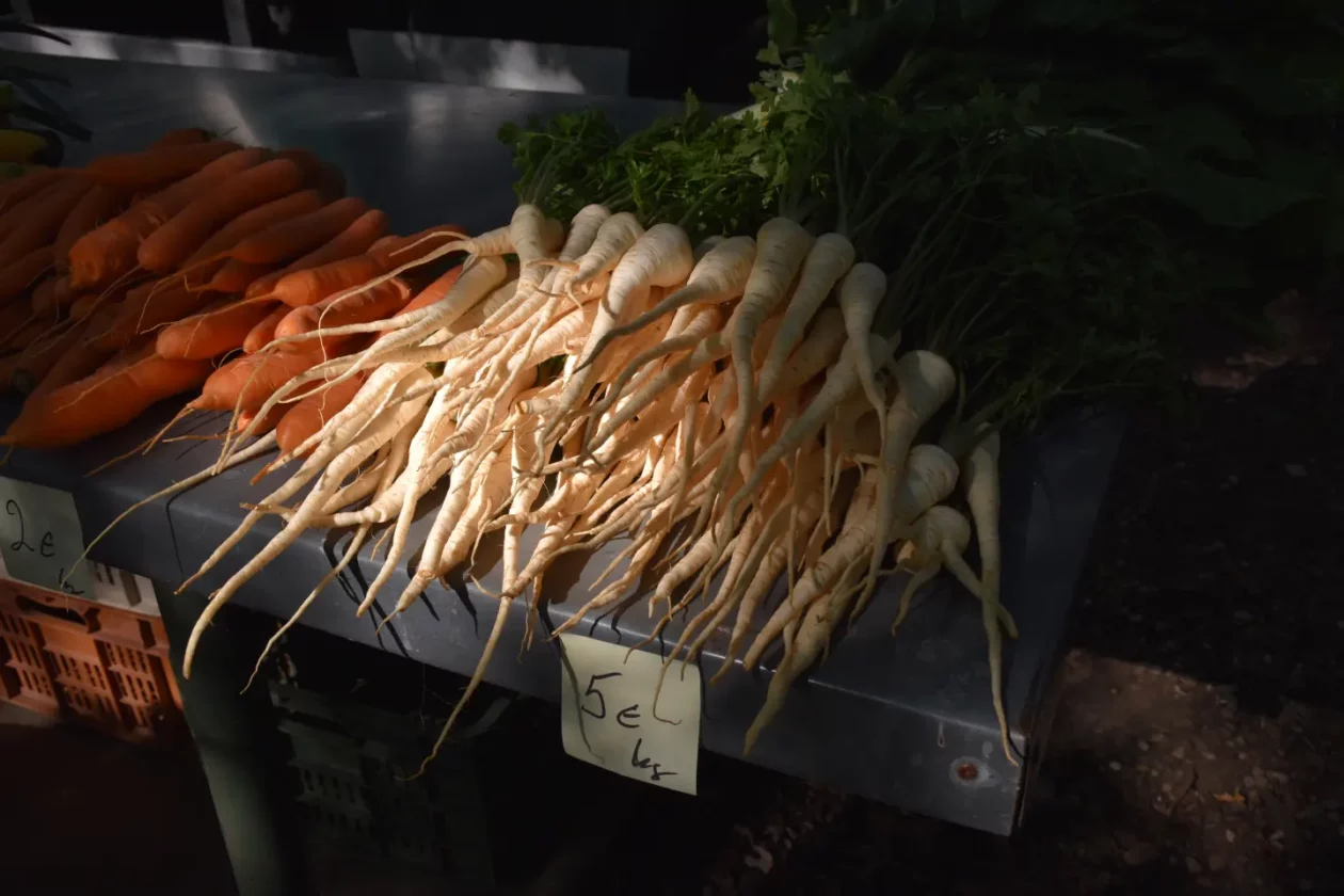 Sajam, Čakovec, 13.8.2025 (21) Sajam, Čakovec, 13.8.2025 (21)