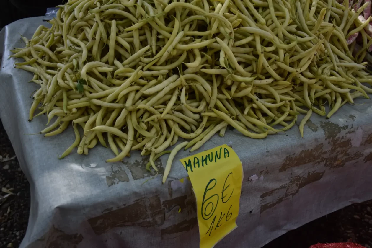 Sajam, Čakovec, 13.8.2025 (22) Sajam, Čakovec, 13.8.2025 (22)