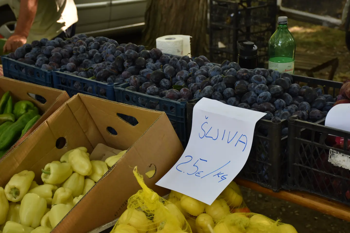 Sajam, Čakovec, 13.8.2025 (26)