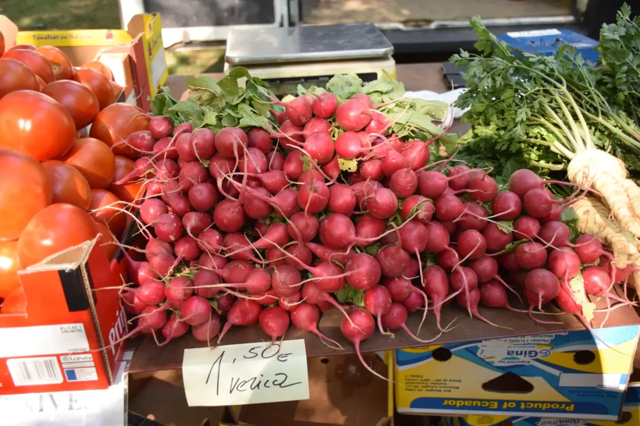 Sajam, Čakovec, 13.8.2025 (30) Sajam, Čakovec, 13.8.2025 (30)