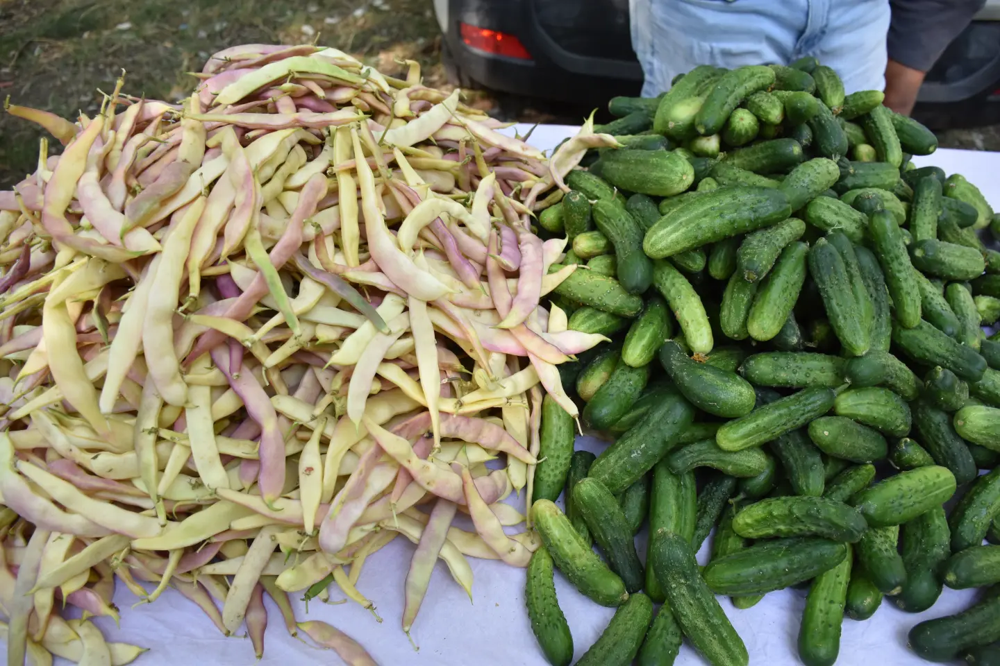 Sajam, Čakovec, 13.8.2025 (34)