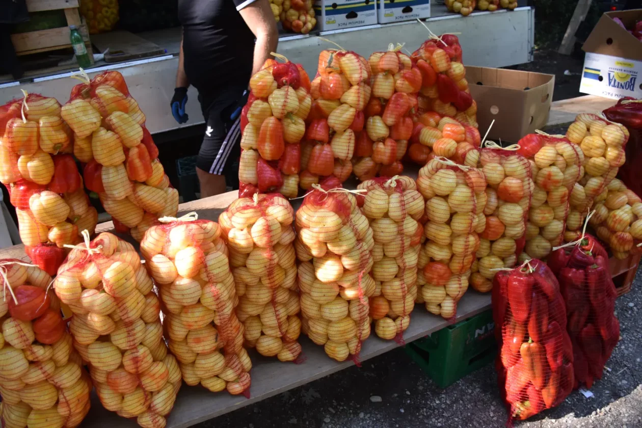 Sajam, Čakovec, 13.8.2025 (35) Sajam, Čakovec, 13.8.2025 (35)