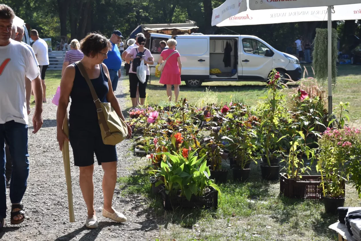 Sajam, Čakovec, 13.8.2025 (39) Sajam, Čakovec, 13.8.2025 (39)