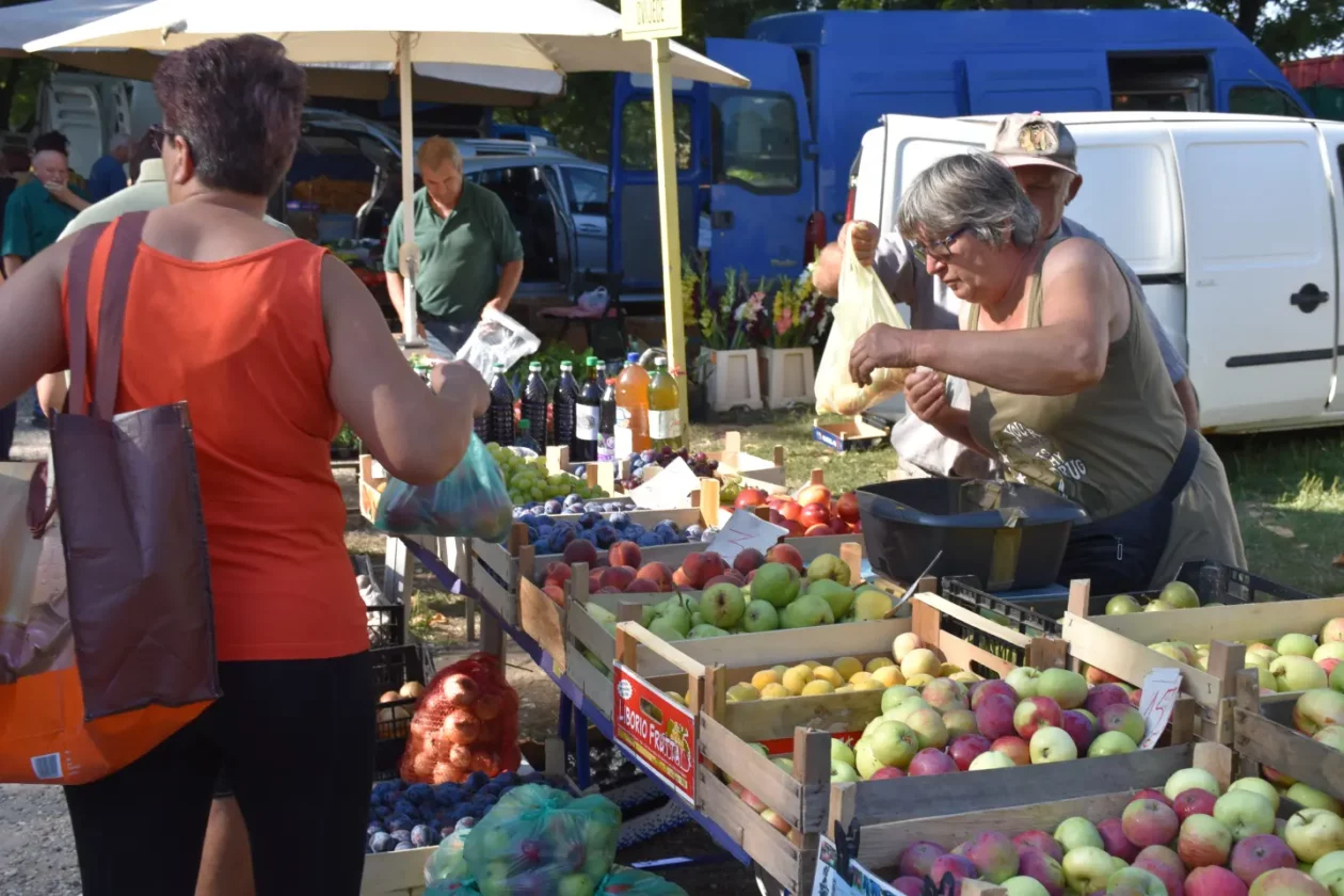 Sajam, Čakovec, 13.8.2025 (4) Sajam, Čakovec, 13.8.2025 (4)