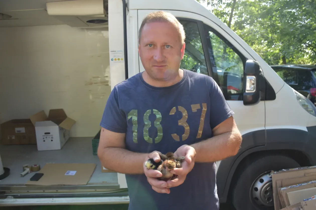 Sajam, Čakovec, 13.8.2025 (44)