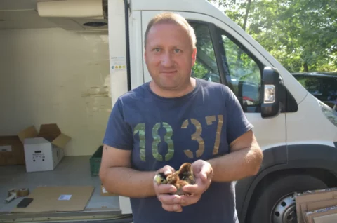 Sajam, Čakovec, 13.8.2025 (45)