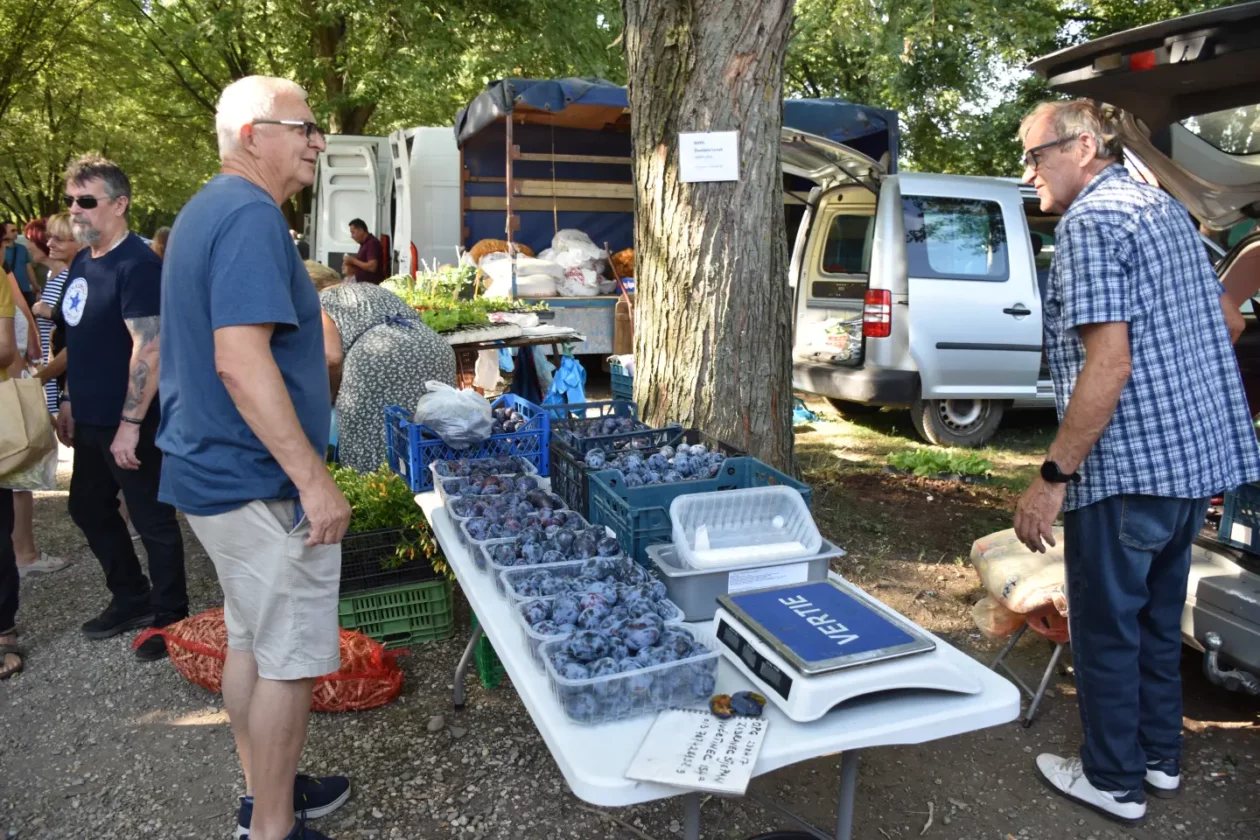 Sajam, Čakovec, 13.8.2025 (6) Sajam, Čakovec, 13.8.2025 (6)