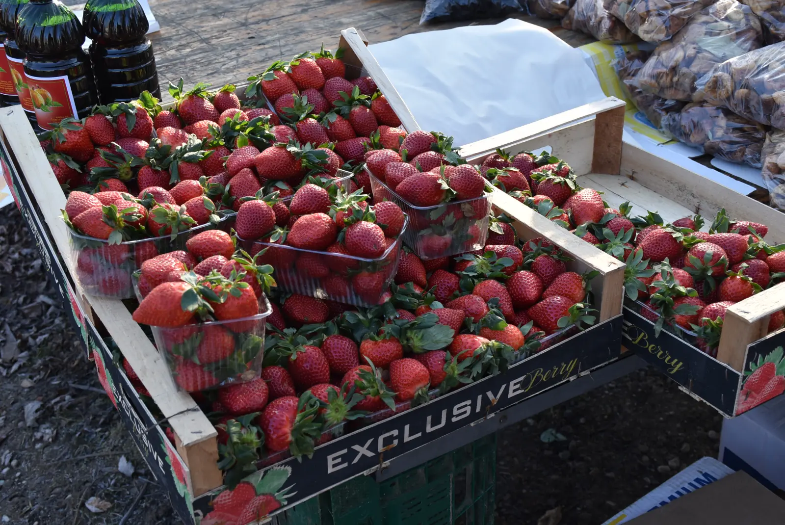 Sajam, Čakovec, 19.2.2025 (10) Sajam, Čakovec, 19.2.2025 (10)