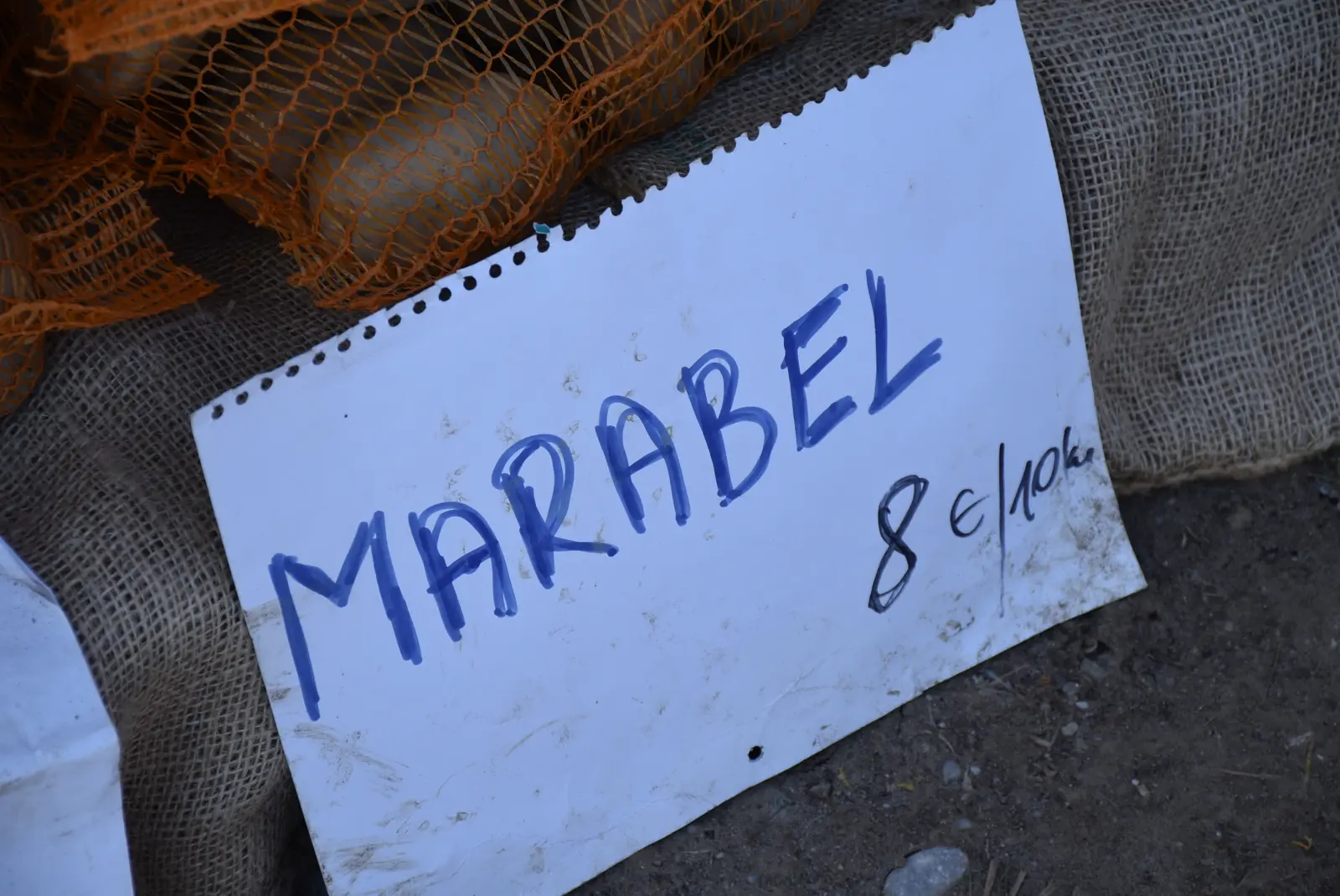 Sajam, Čakovec, 19.2.2025 (2) Sajam, Čakovec, 19.2.2025 (2)