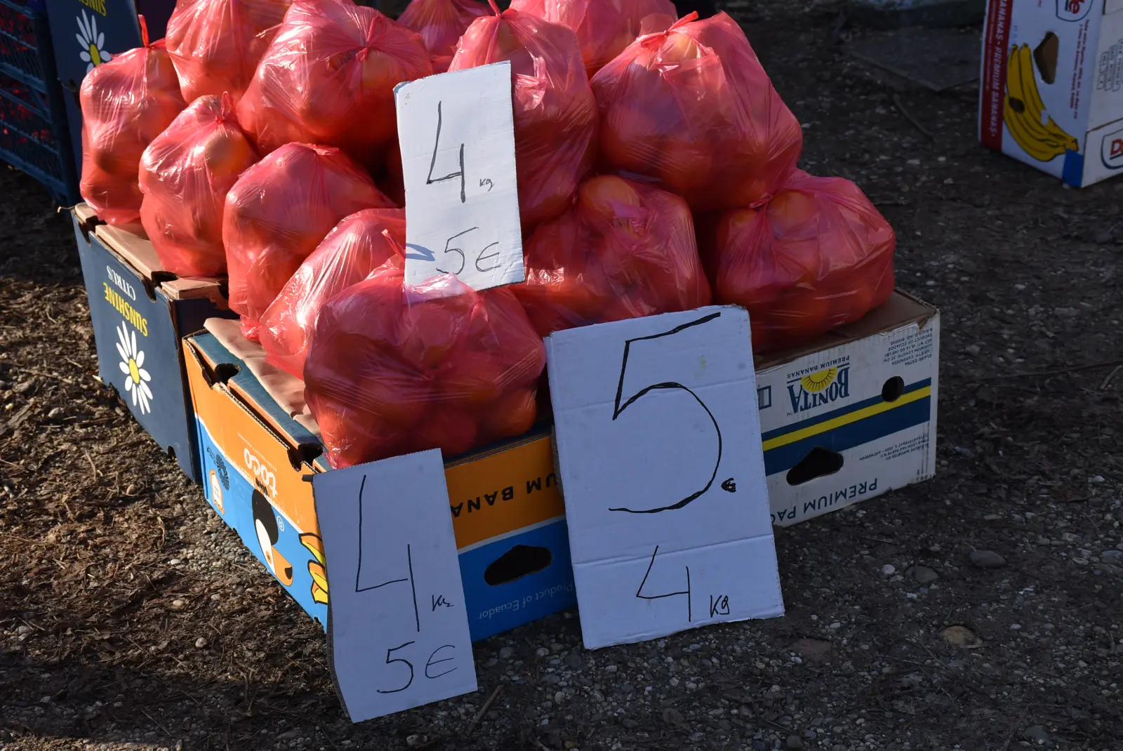 Sajam, Čakovec, 19.2.2025 (20) Sajam, Čakovec, 19.2.2025 (20)