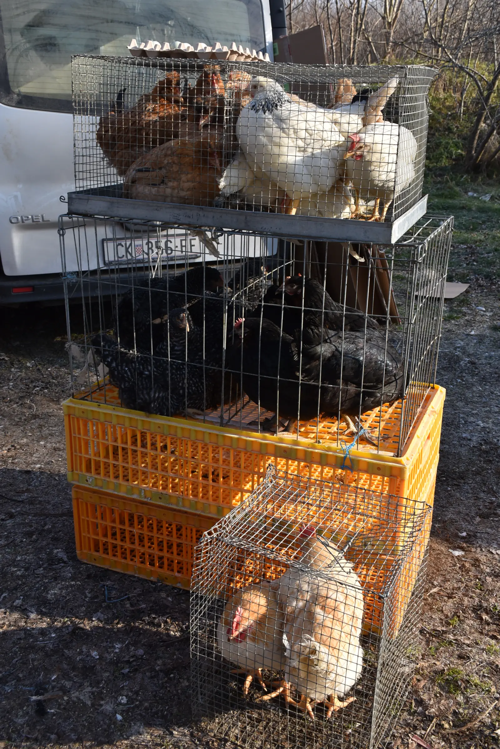 Sajam, Čakovec, 19.2.2025 (39) Sajam, Čakovec, 19.2.2025 (39)