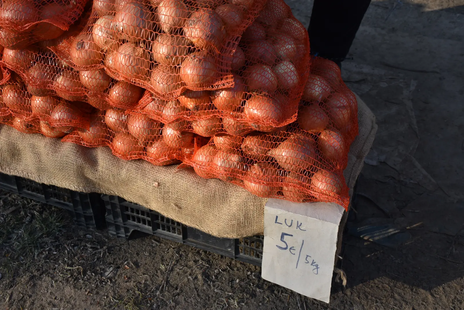 Sajam, Čakovec, 19.2.2025 (4) Sajam, Čakovec, 19.2.2025 (4)