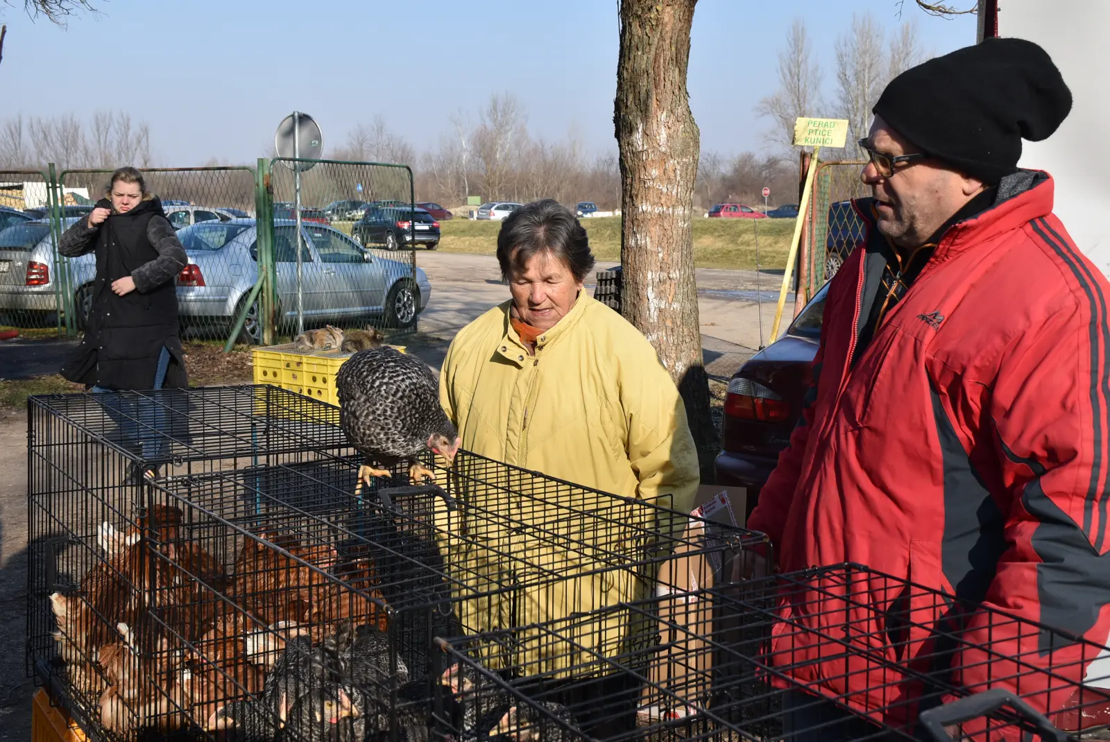 Sajam, Čakovec, 19.2.2025 (41) Sajam, Čakovec, 19.2.2025 (41)