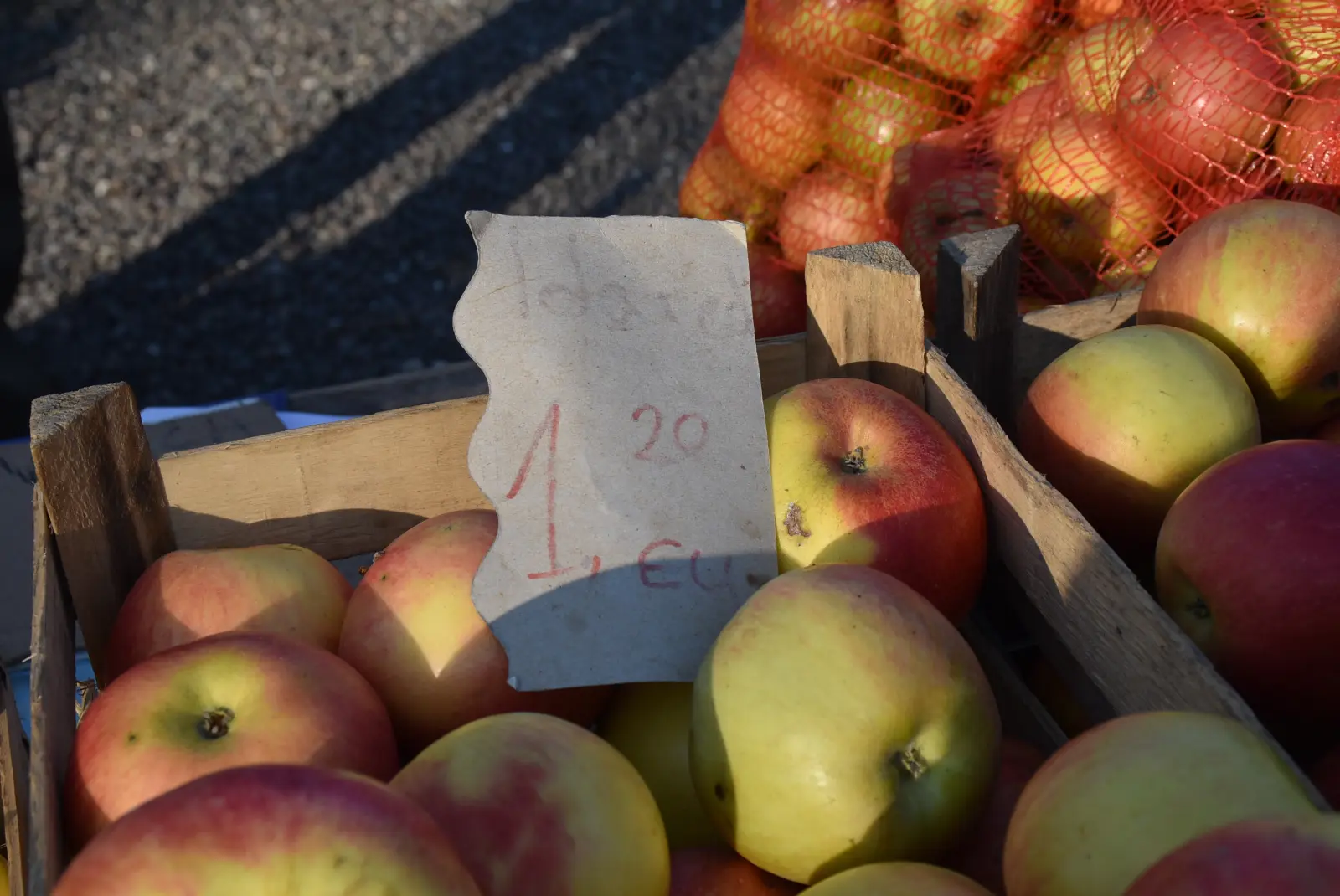 Sajam, Čakovec, 19.2.2025 (7) Sajam, Čakovec, 19.2.2025 (7)