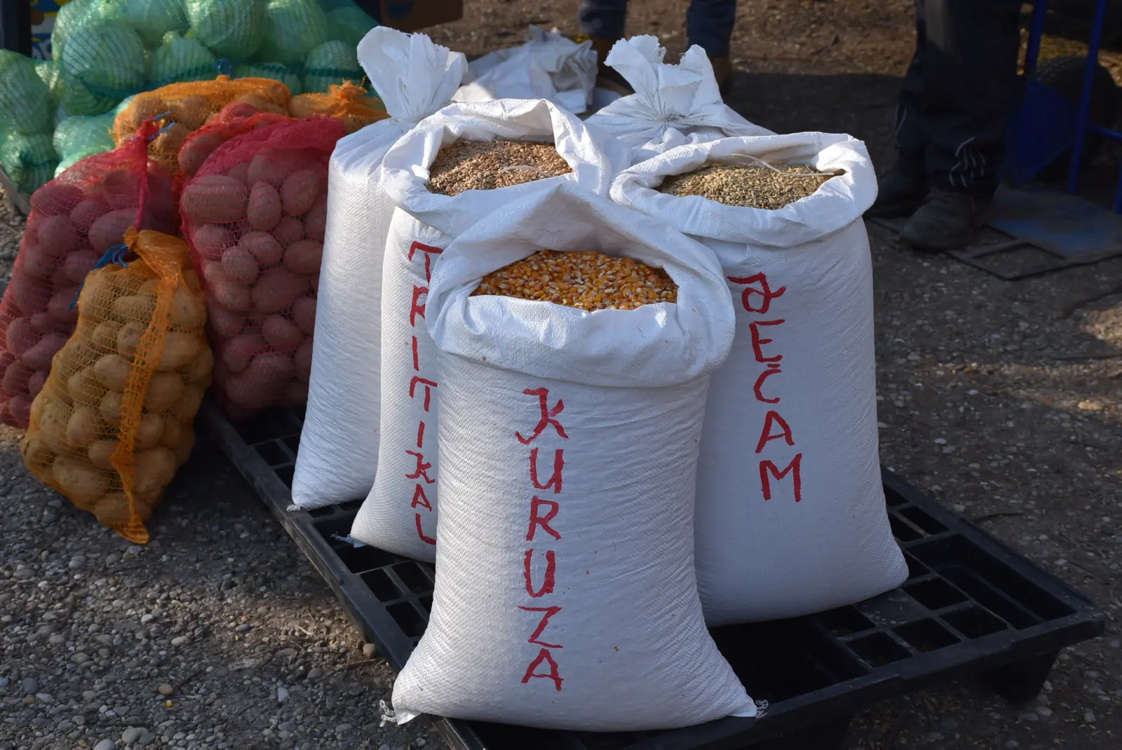 Sajam, Čakovec, 19.2.2025 (8) Sajam, Čakovec, 19.2.2025 (8)