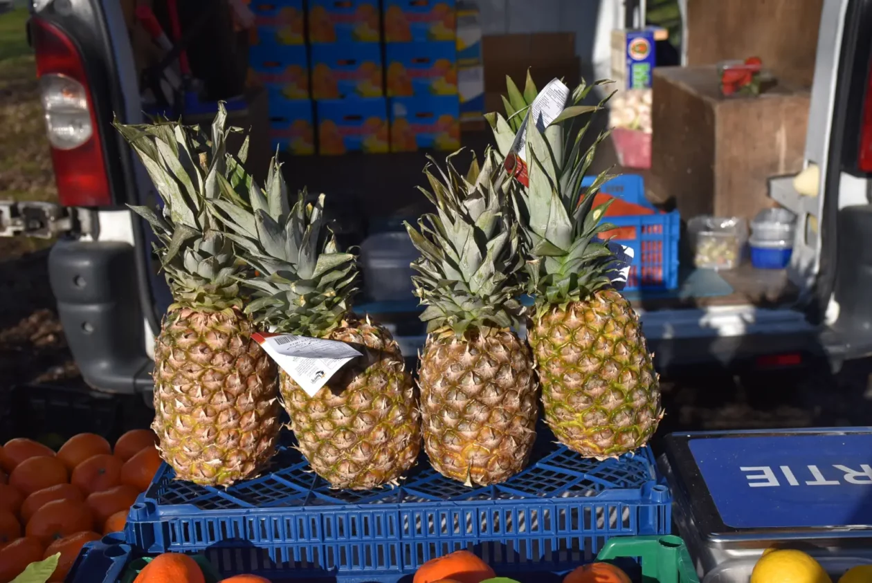 Sajam, Čakovec, 19.3 (18) Sajam, Čakovec, 19.3 (18)