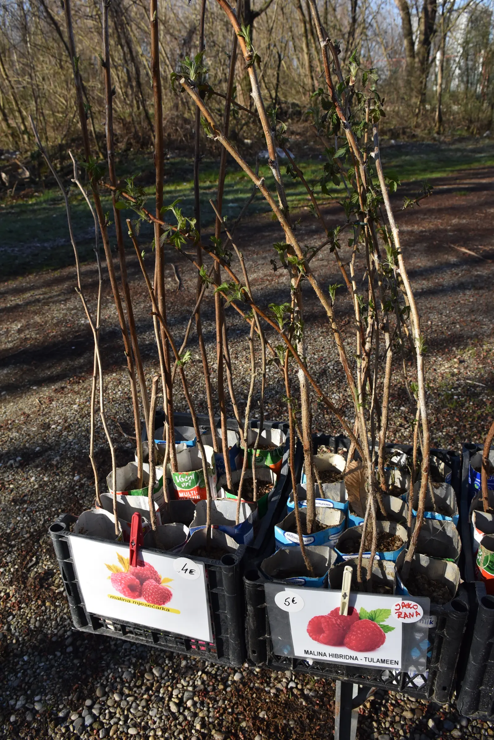 Sajam, Čakovec, 19.3 (31) Sajam, Čakovec, 19.3 (31)