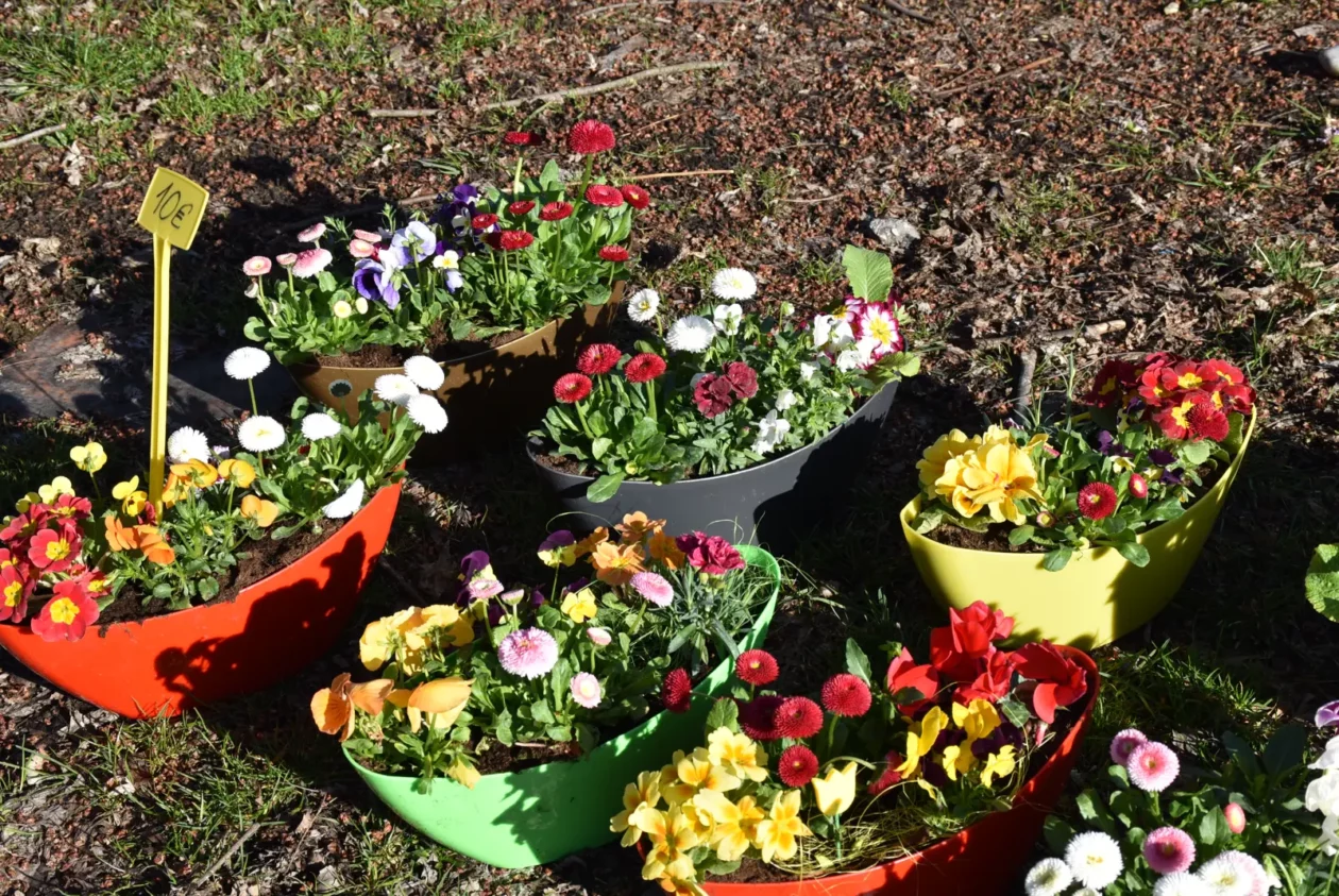 Sajam, Čakovec, 19.3 (35) Sajam, Čakovec, 19.3 (35)