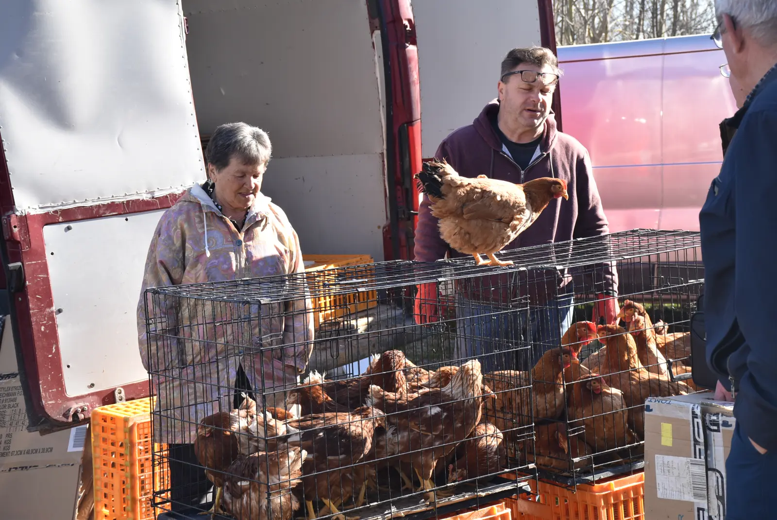 Sajam, Čakovec, 19.3 (43) Sajam, Čakovec, 19.3 (43)