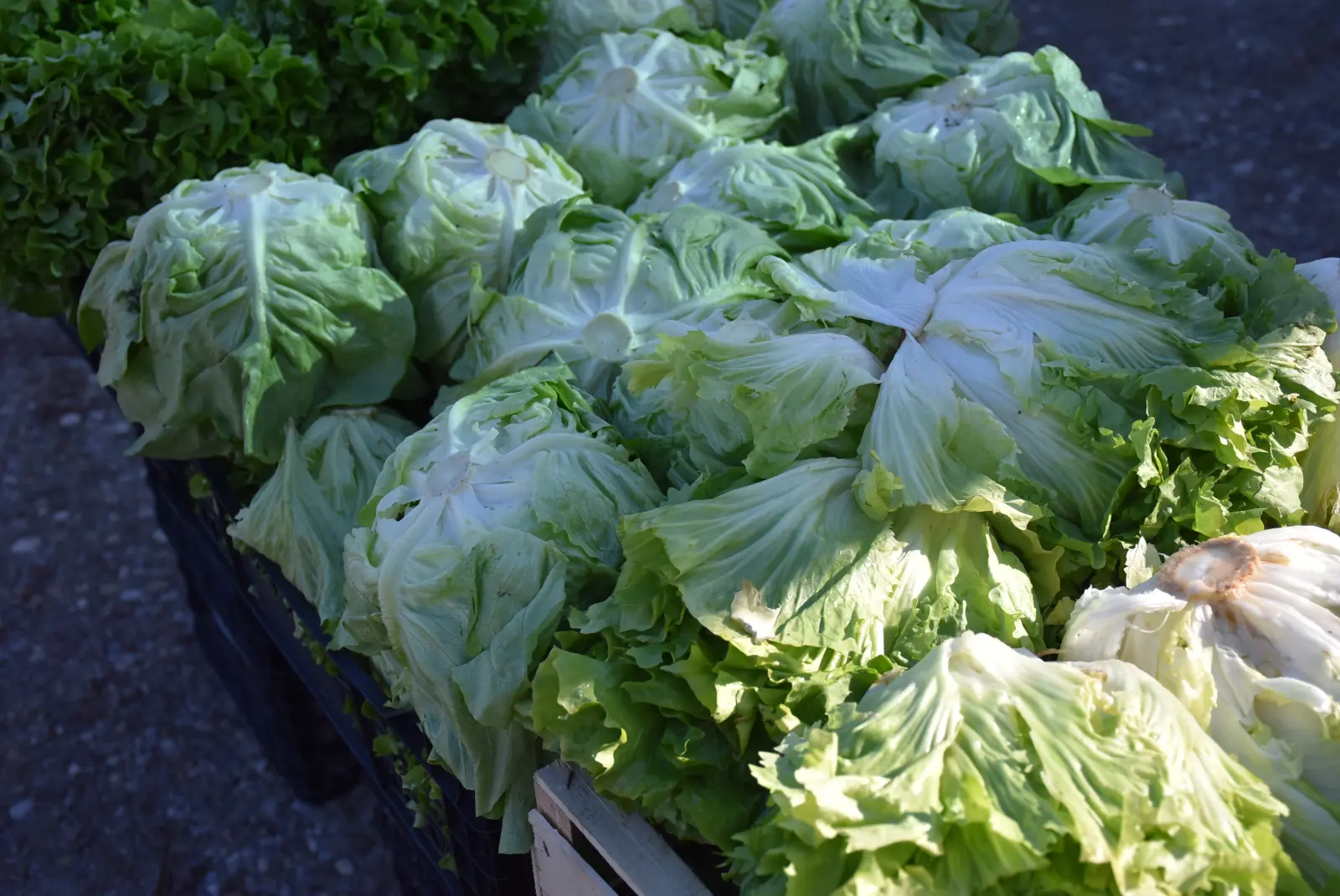 Sajam, Čakovec, 19.3 (7) Sajam, Čakovec, 19.3 (7)