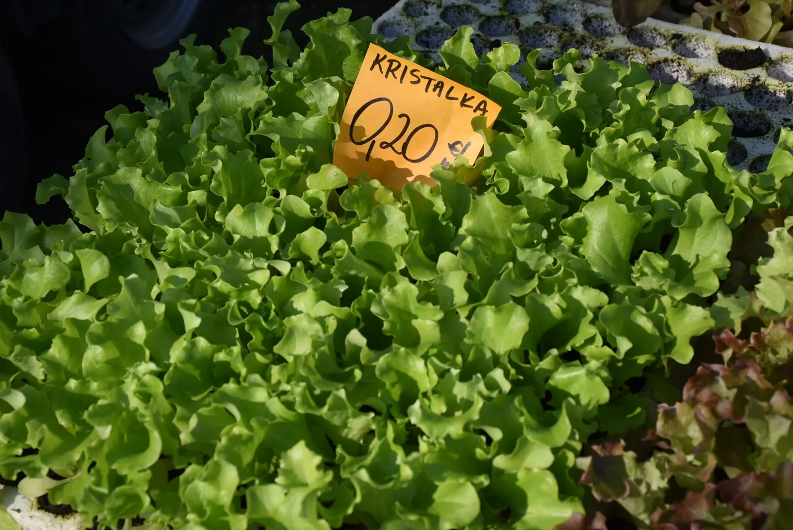 Sajam, Čakovec, 2.4 (17) Sajam, Čakovec, 2.4 (17)