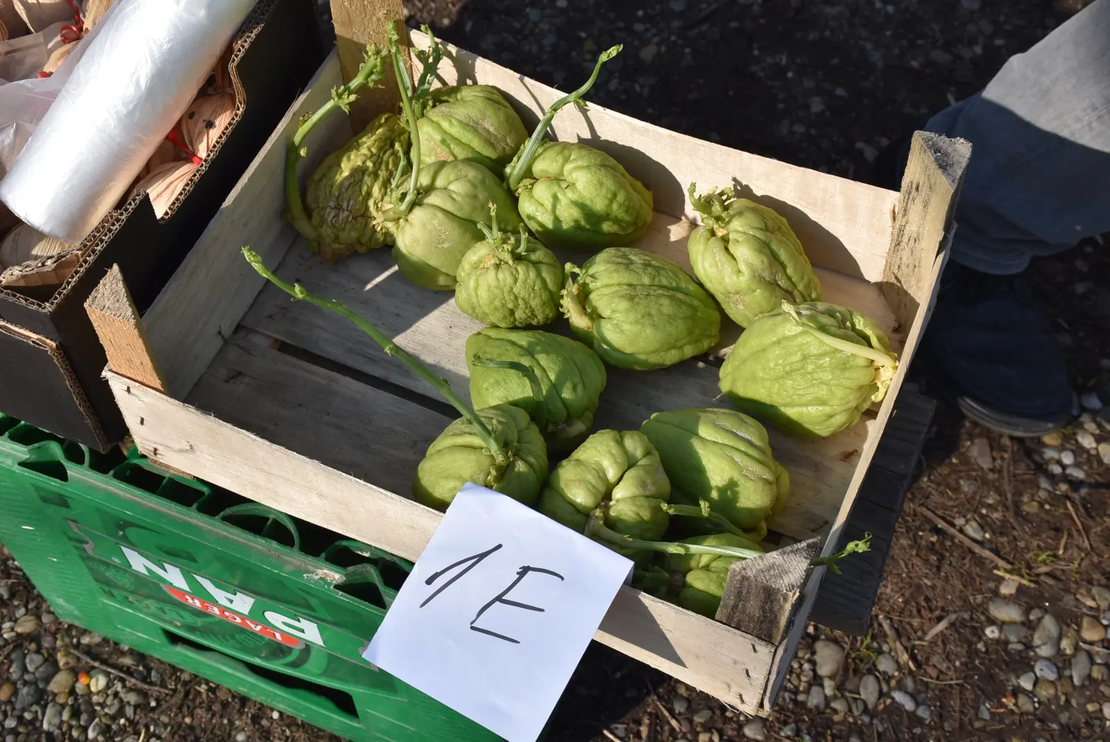 Sajam, Čakovec, 2.4 (19) Sajam, Čakovec, 2.4 (19)