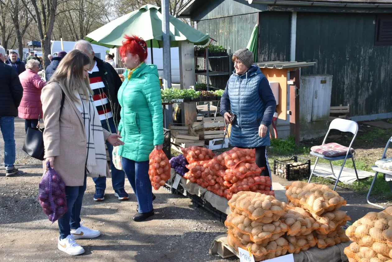 Sajam, Čakovec, 2.4 (2)