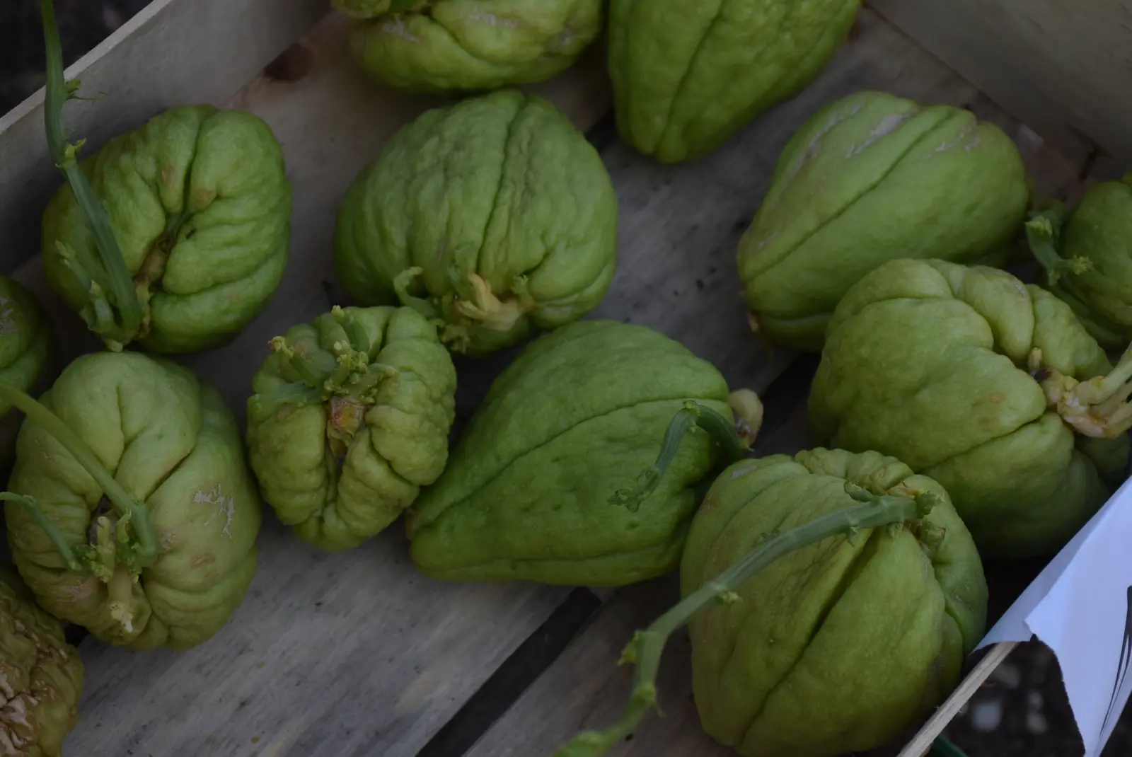 Sajam, Čakovec, 2.4 (20) Sajam, Čakovec, 2.4 (20)