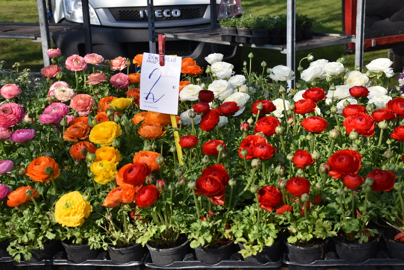 Sajam, Čakovec, 2.4 (23) Sajam, Čakovec, 2.4 (23)