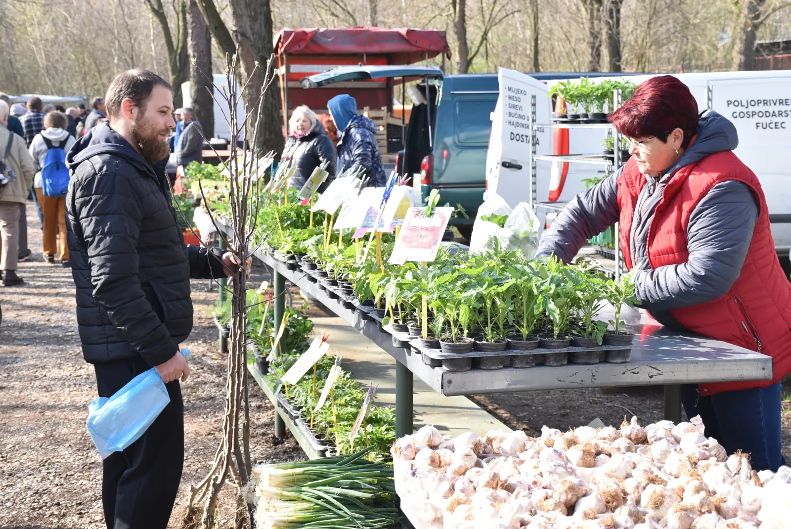 Sajam, Čakovec, 2.4 (25) Sajam, Čakovec, 2.4 (25)