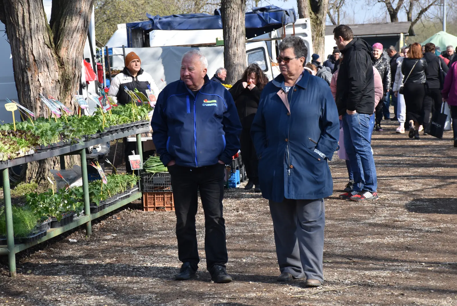 Sajam, Čakovec, 2.4 (31) Sajam, Čakovec, 2.4 (31)