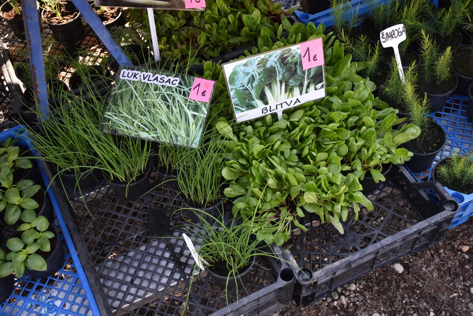 Sajam, Čakovec, 2.4 (33) Sajam, Čakovec, 2.4 (33)