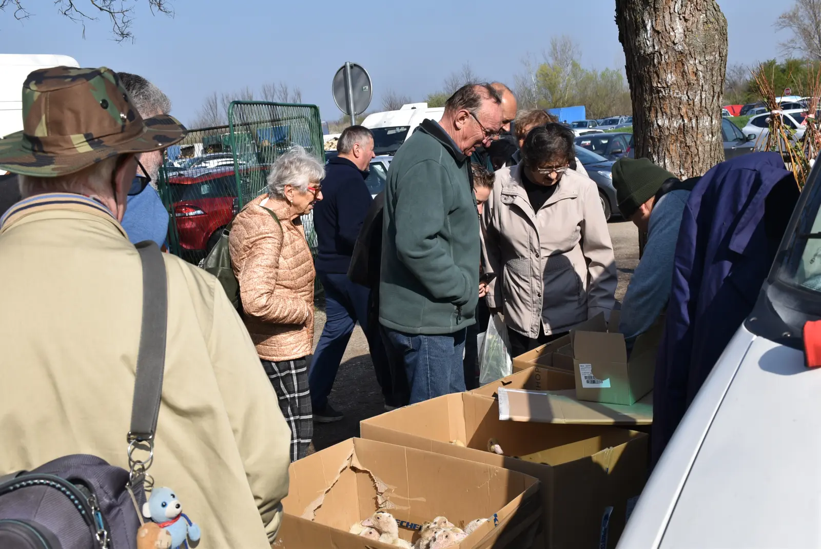 Sajam, Čakovec, 2.4 (46) Sajam, Čakovec, 2.4 (46)